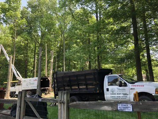 Tim's Landscaping and Tree Service