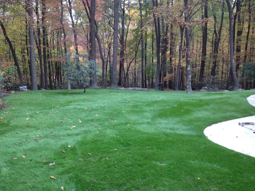 Custom lawn mowing service experts serving Morgantown, WV - Tim's Landscaping