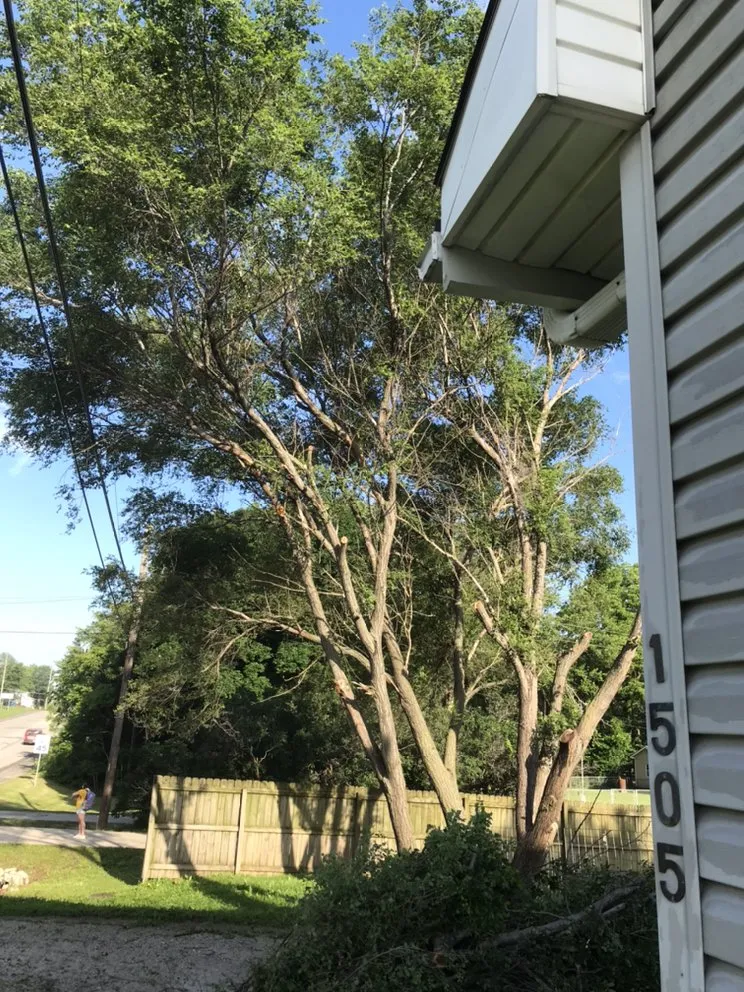 Reliable residential landscaping in Saint Joseph, MO by Tim’s Lawn and Garden