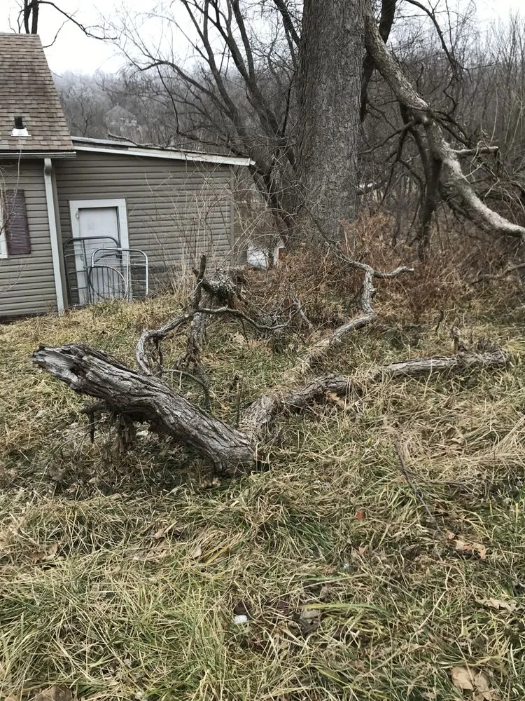 Local outdoor landscaping experts serving Saint Joseph, MO - Tim’s Lawn and Garden