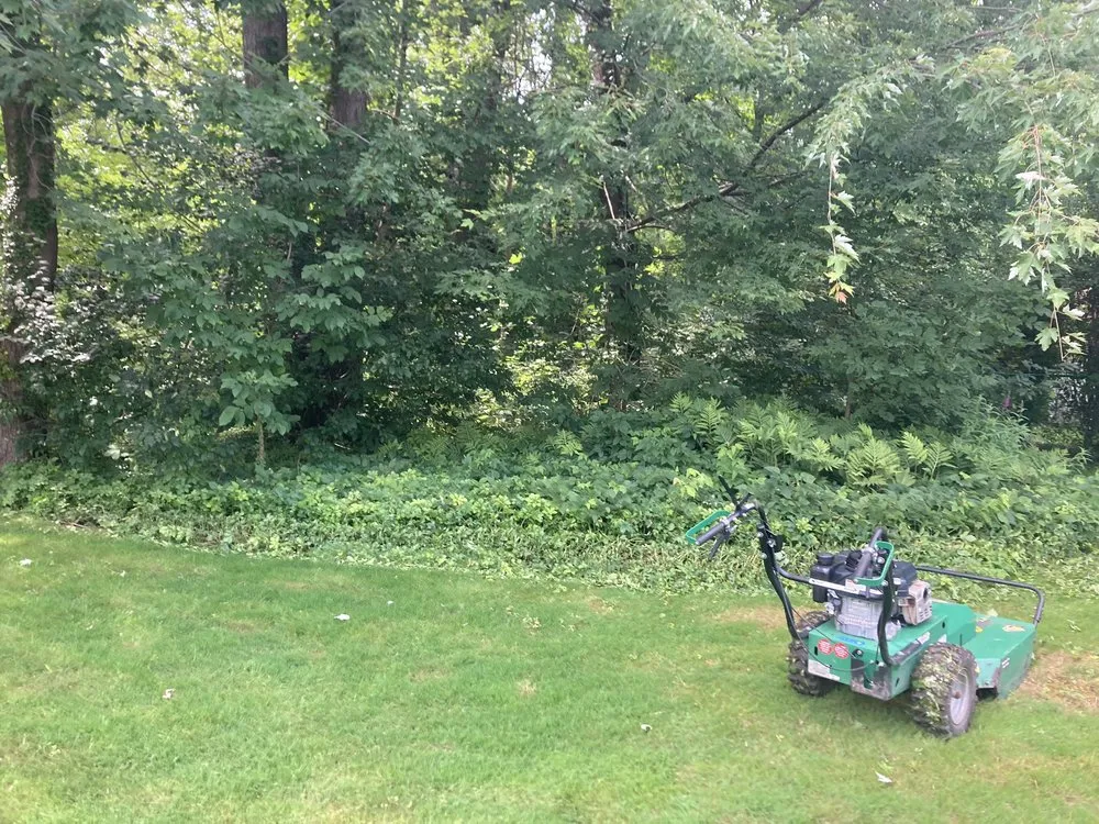 Affordable yard maintenance in Rochester, NY - Tim's Lawn And Landscape