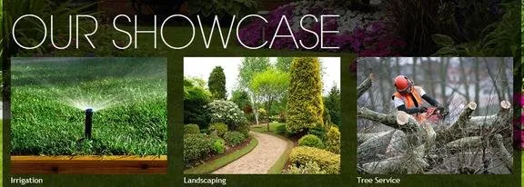 Custom yard cleanup service in Belleville, IL by Tim's Lawn Care