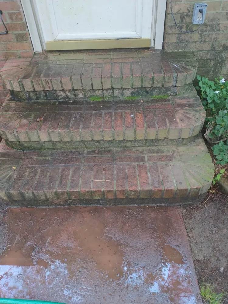 Professional lawn care service in Birmingham, AL by Tim's Lawn Care