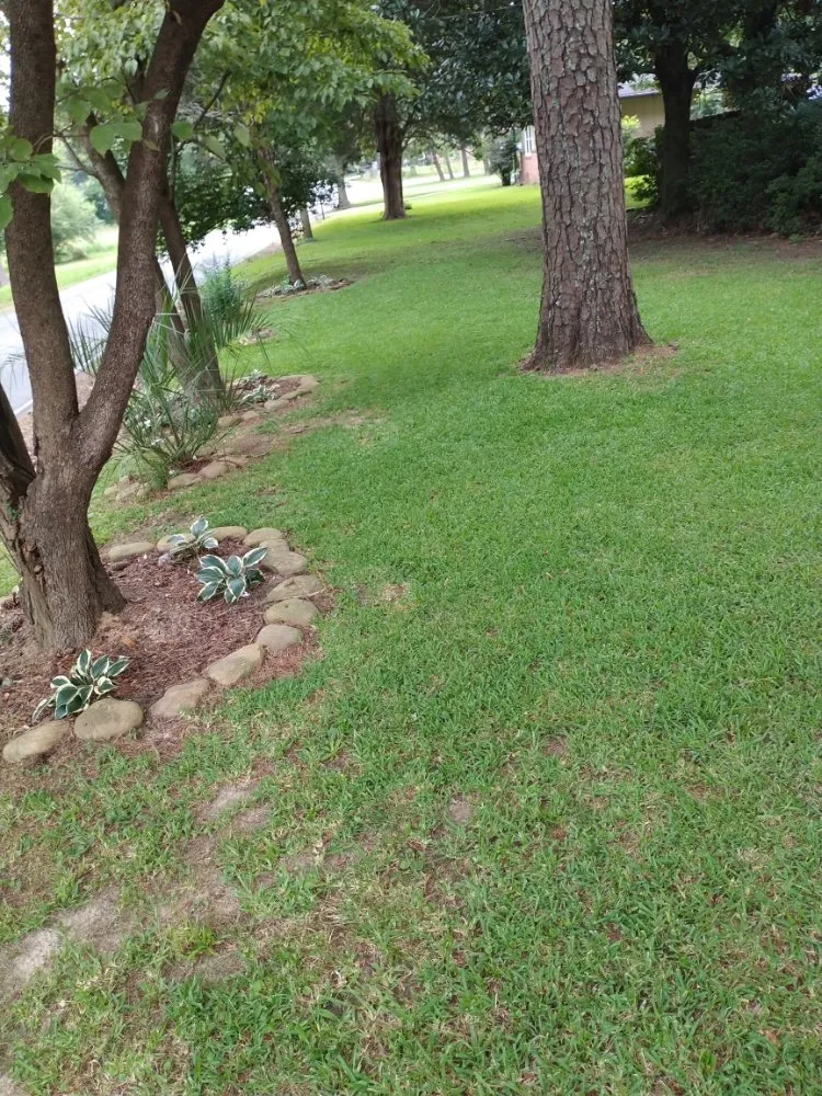 Affordable landscaping services in Birmingham, AL by Tim's Lawn Care