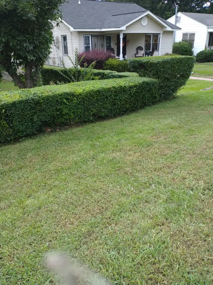 Expert lawn care service in Birmingham, AL - Tim's Lawn Care