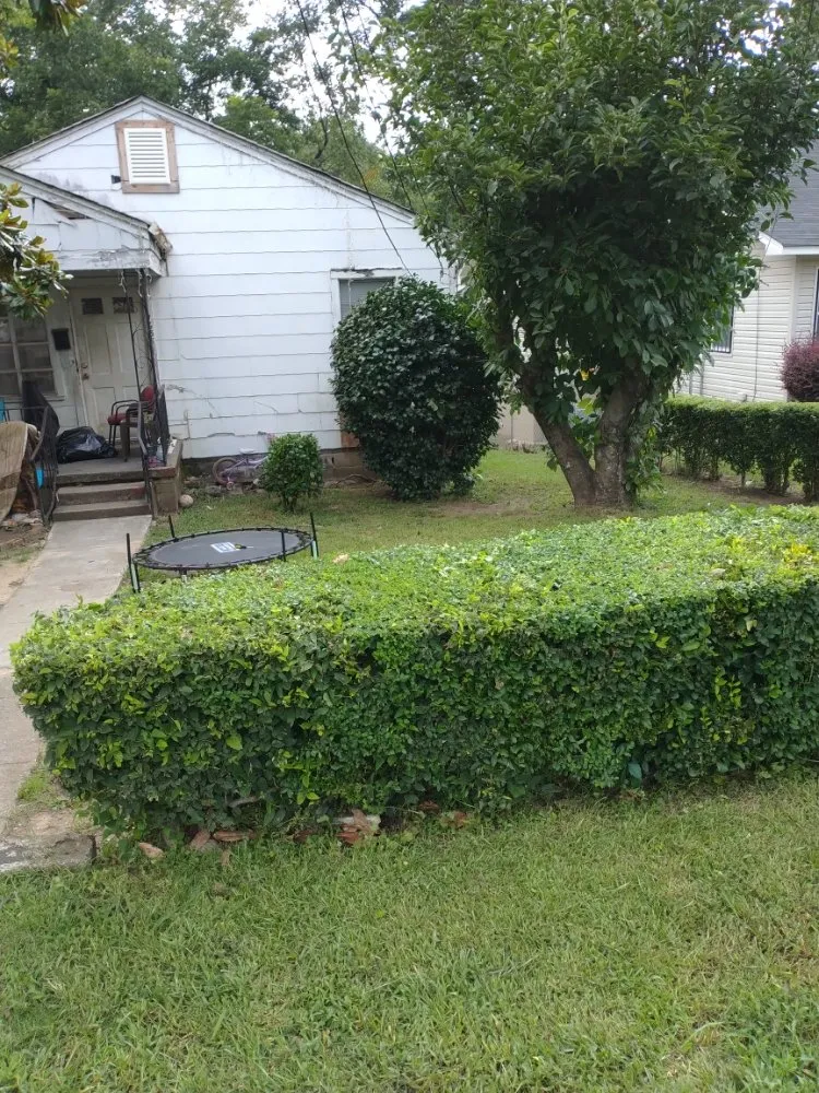 Reliable outdoor landscaping in Birmingham, AL by Tim's Lawn Care