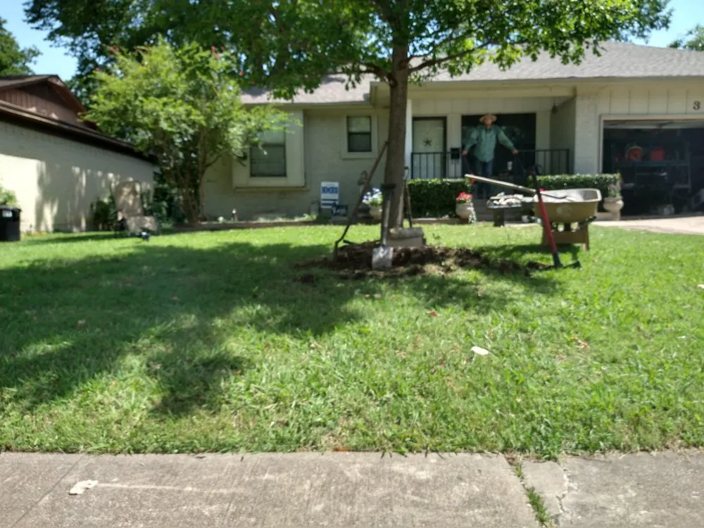 Top-rated landscape design experts serving Mesquite, TX - Tims Lawn Care