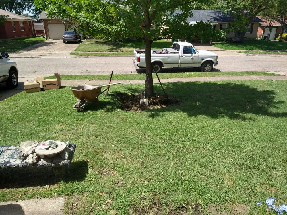 Reliable yard maintenance for year-round maintenance in Mesquite, TX by Tims Lawn Care
