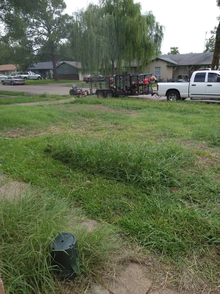 Affordable lawn care service experts serving Mesquite, TX - Tims Lawn Care