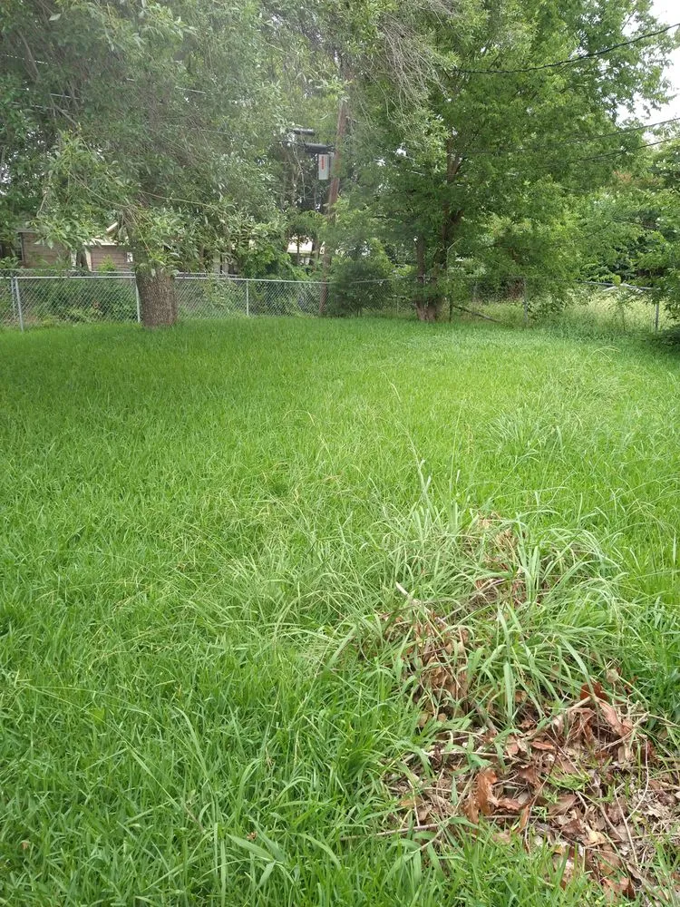 Affordable landscape design near you in Mesquite, TX by Tims Lawn Care