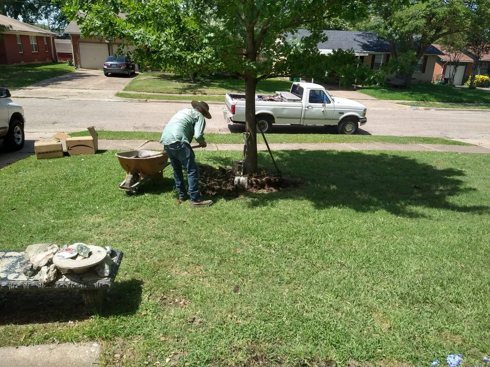 Professional landscape installation for year-round maintenance across Mesquite, TX - Tims Lawn Care