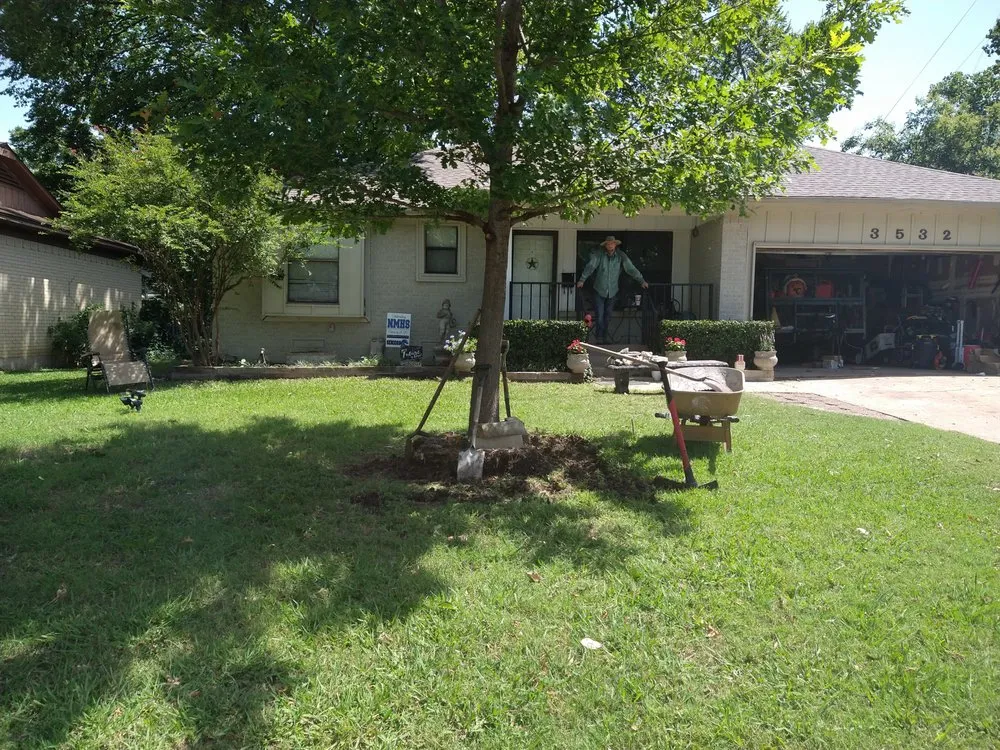 Local landscape installation in Mesquite, TX by Tims Lawn Care