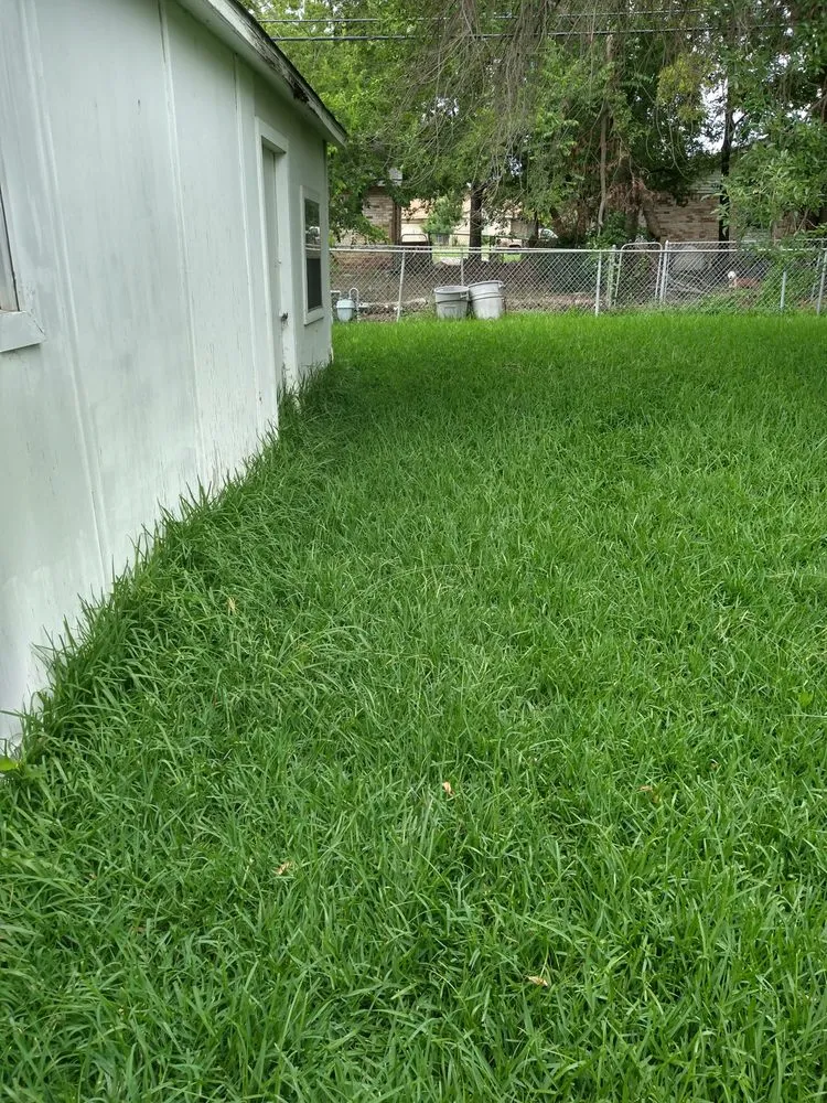 Top-rated landscape installation for homes across Mesquite, TX - Tims Lawn Care