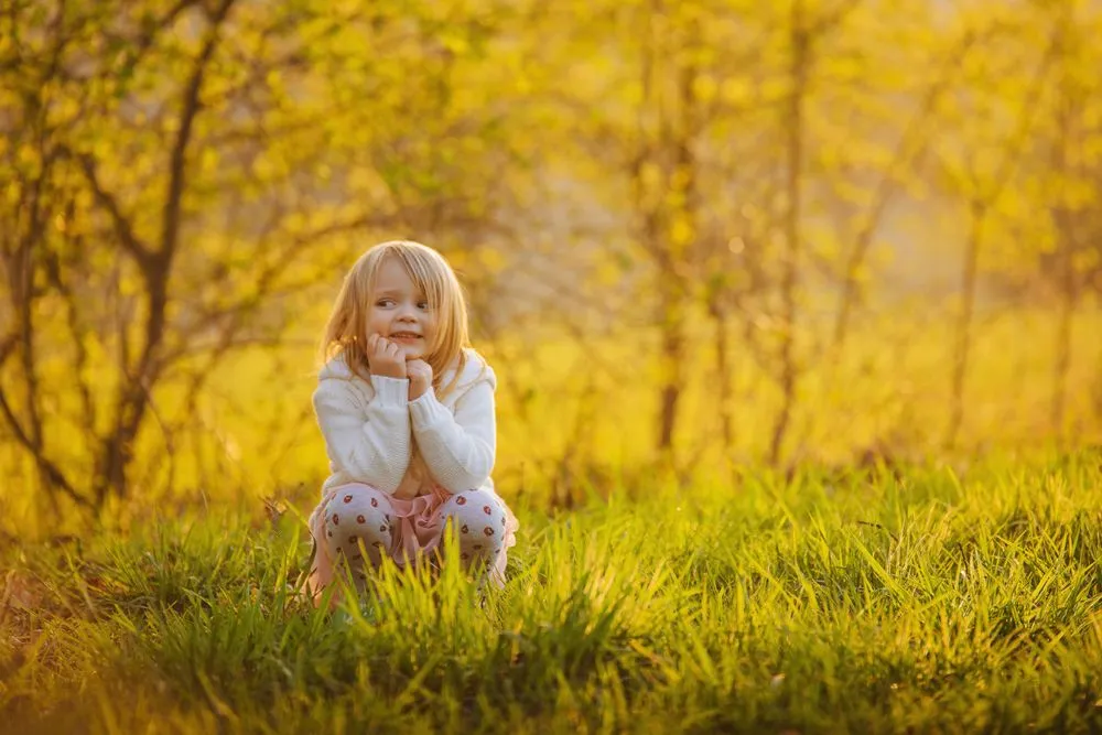 Expert lawn mowing service near you across Newport, VT - Tim's Lawn Care