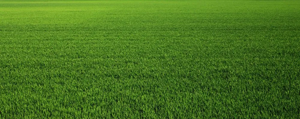 Custom outdoor landscaping in Newport, VT by Tim's Lawn Care