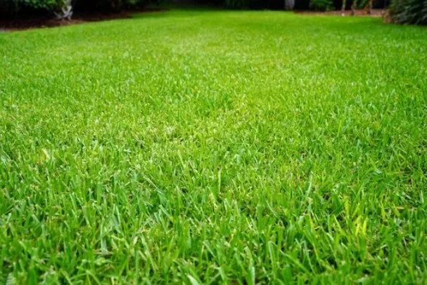 Trusted garden landscaping for year-round maintenance in Newport, VT by Tim's Lawn Care