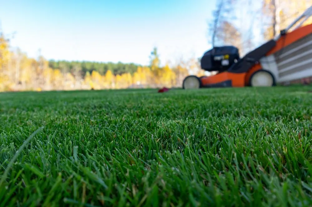Local outdoor landscaping near you across Newport, VT - Tim's Lawn Care