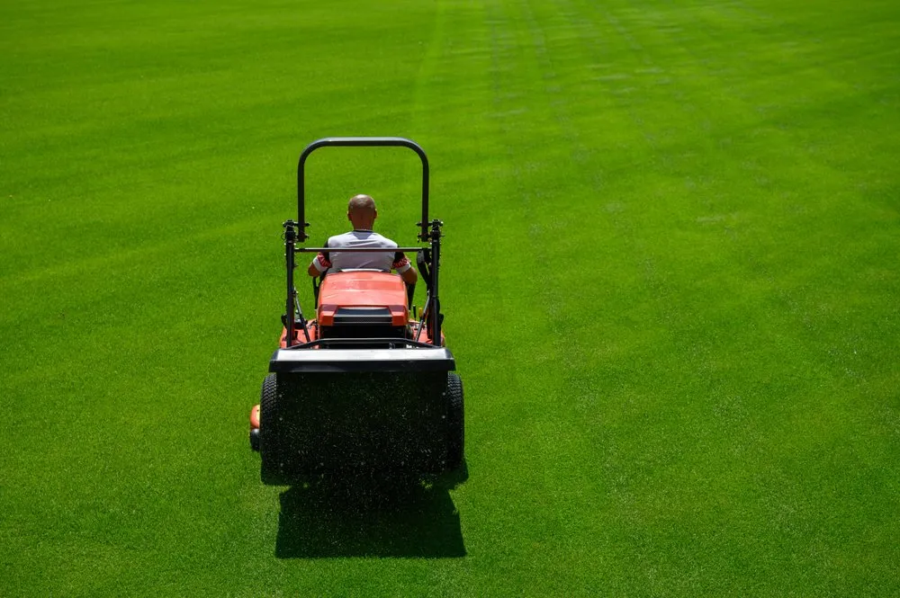 Reliable landscape design in Newport, VT by Tim's Lawn Care