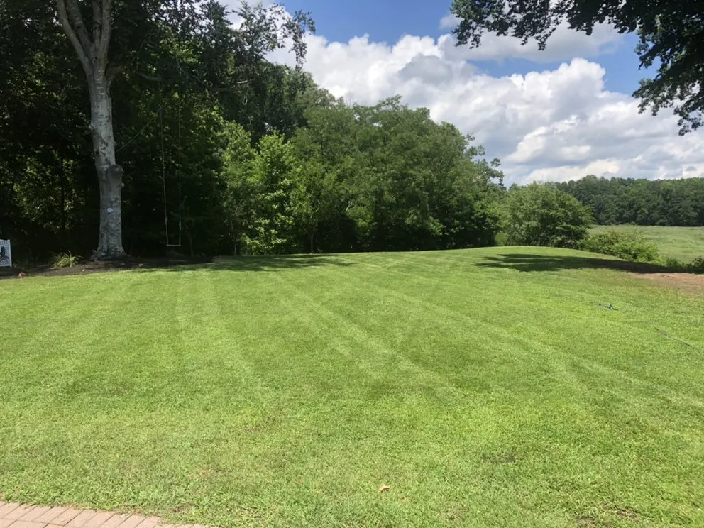 Custom yard cleanup service in Suffolk, VA - Tim’s Lawn Care