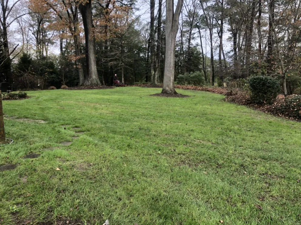Reliable lawn mowing service in Suffolk, VA - Tim’s Lawn Care