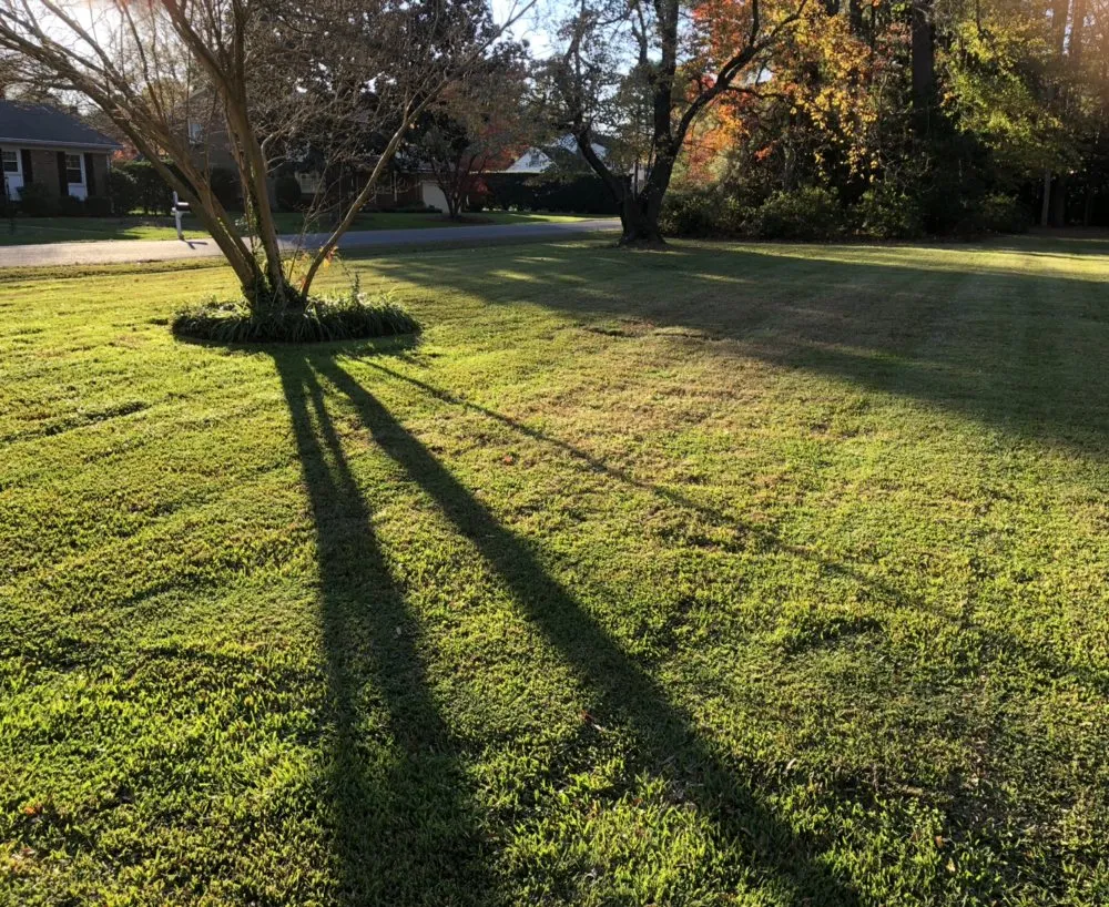 Professional landscape design with custom design across Suffolk, VA - Tim’s Lawn Care