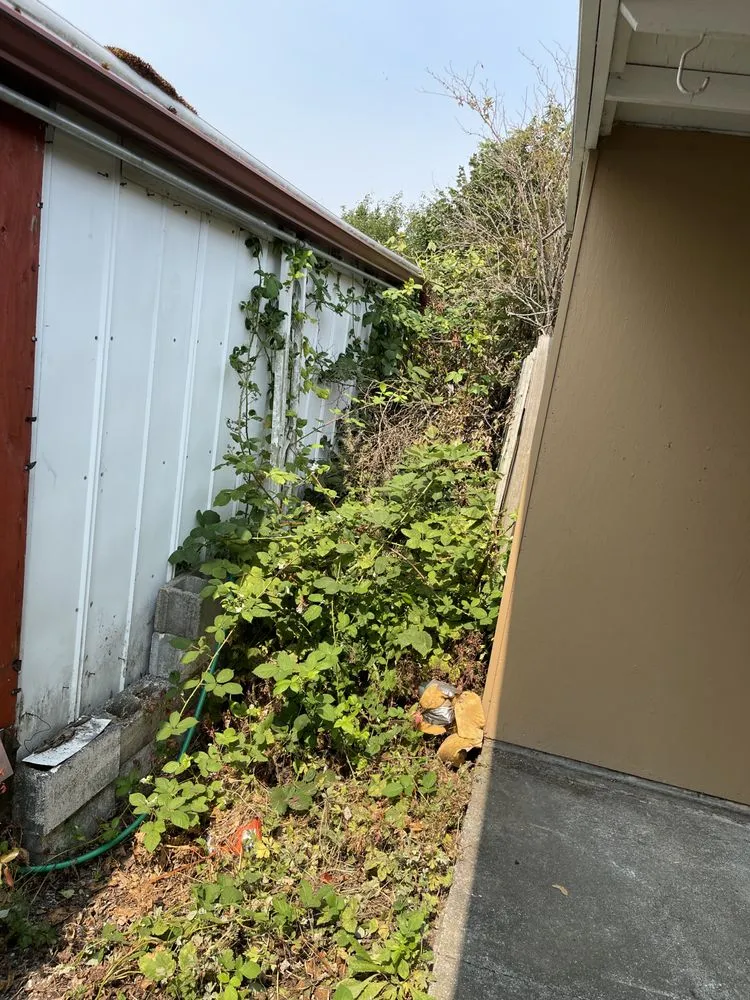 Reliable lawn mowing service in Oak Harbor, WA by Tims Lawn Service