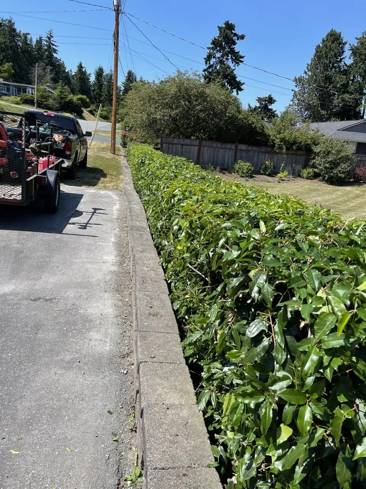 Affordable landscaping services in Oak Harbor, WA - Tims Lawn Service