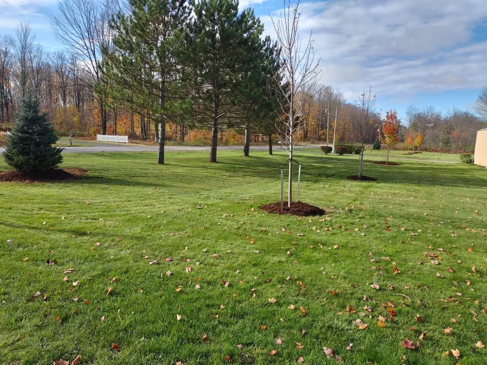 Reliable lawn mowing service experts serving Gaylord, MI - Tims Lawncare