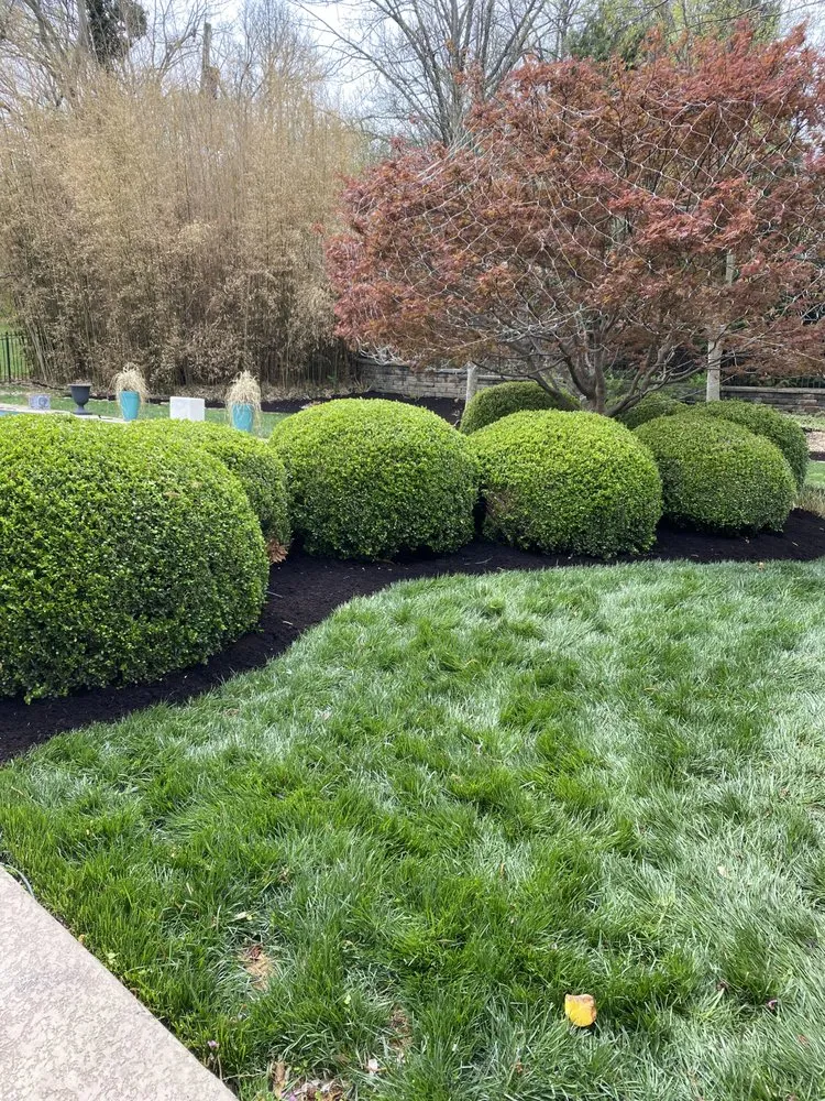 Expert landscape design for beautiful yards in Saint Louis, MO by Tims Mow and Blow