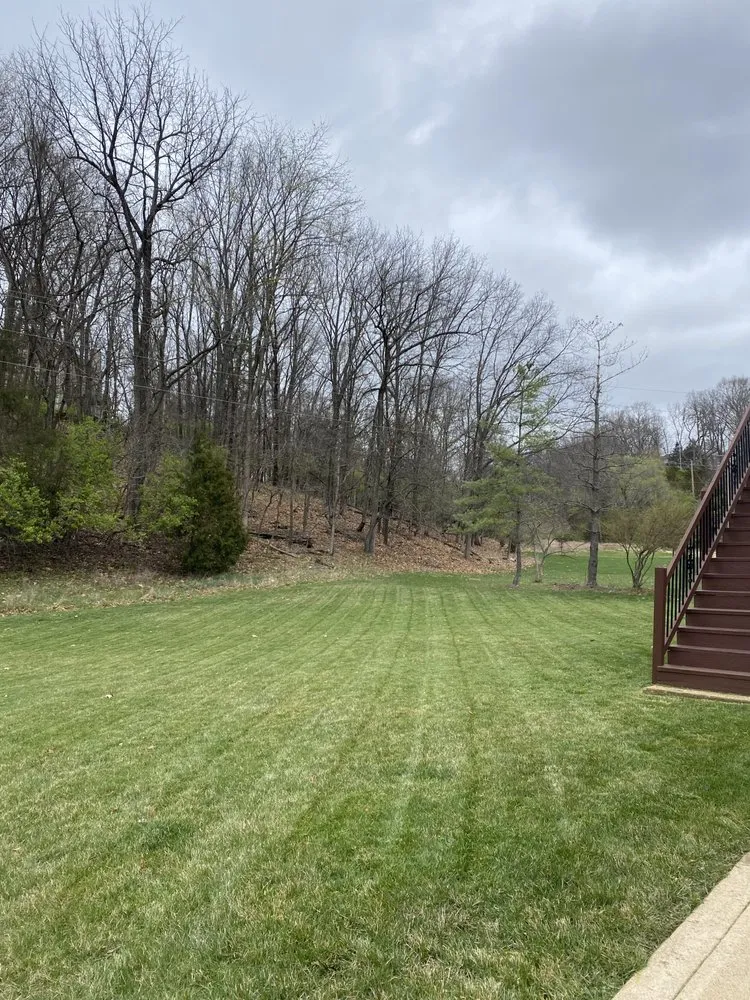 Affordable landscape design for outdoor upgrades in Saint Louis, MO by Tims Mow and Blow