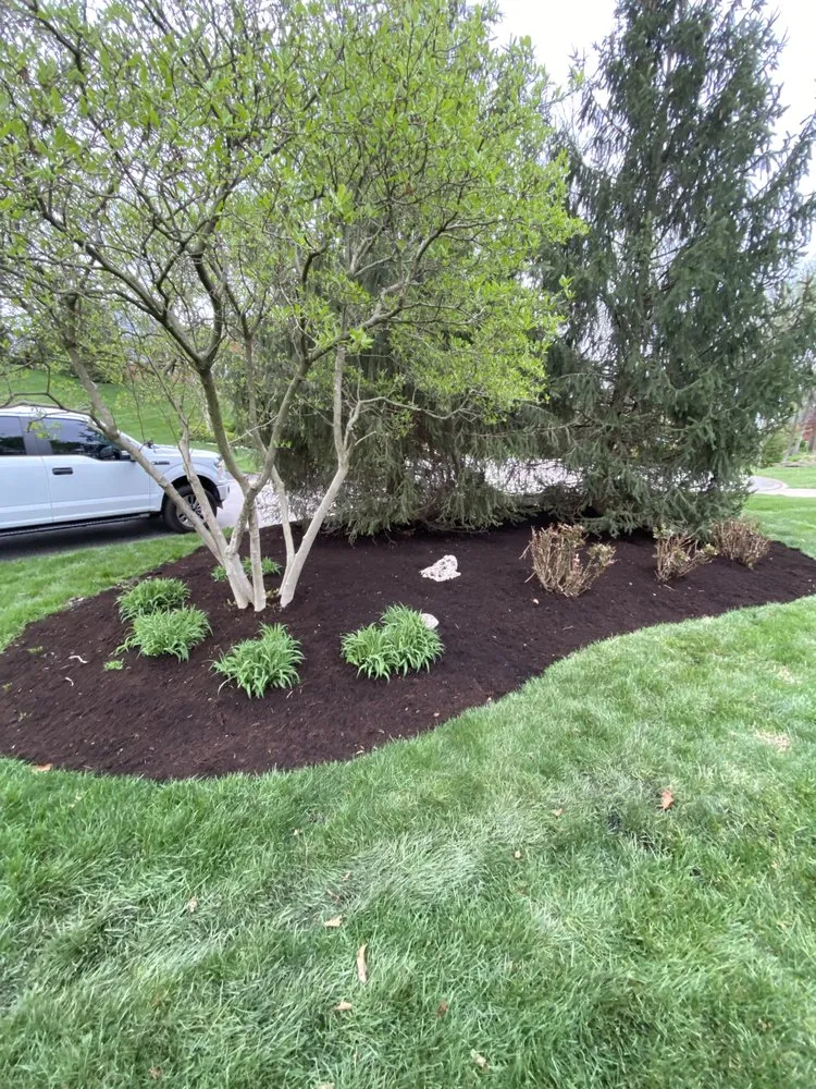 Custom lawn care service in Saint Louis, MO - Tims Mow and Blow