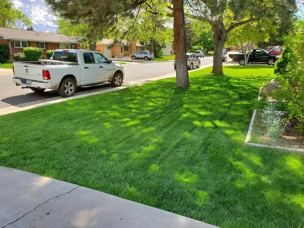 Professional lawn mowing service for residential properties in Centennial, CO by Tim's Sprinkler