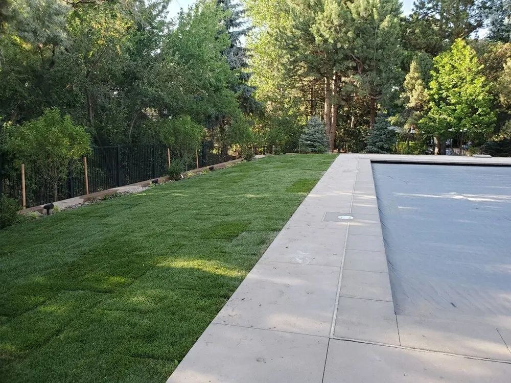 Affordable lawn mowing service in Centennial, CO by Tim's Sprinkler