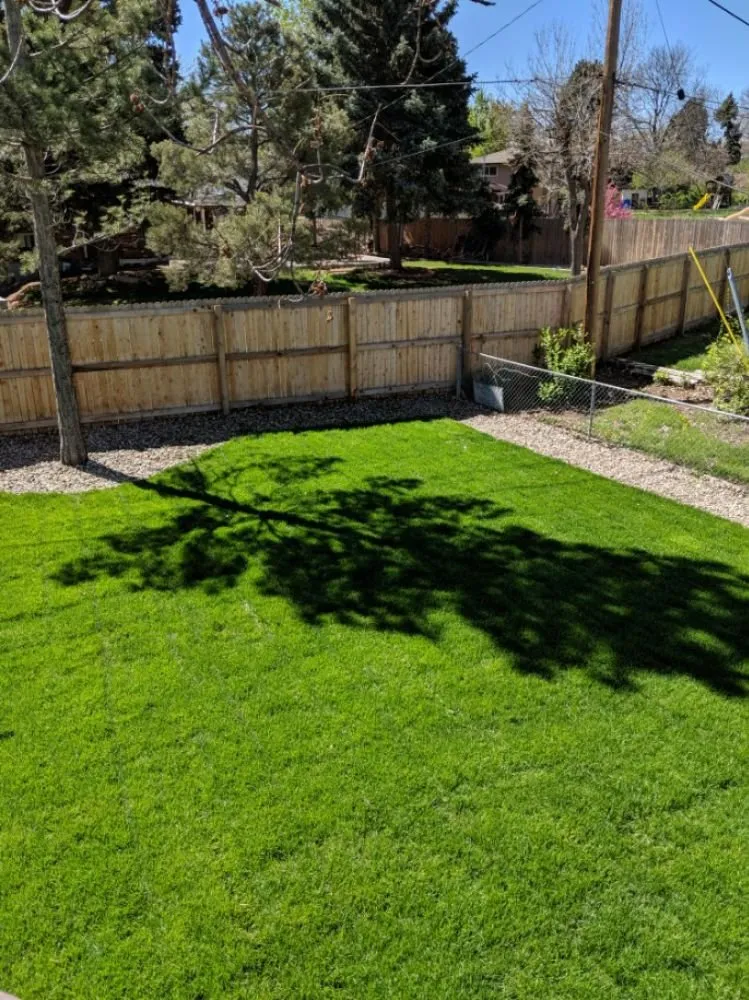 Professional yard maintenance in Centennial, CO by Tim's Sprinkler