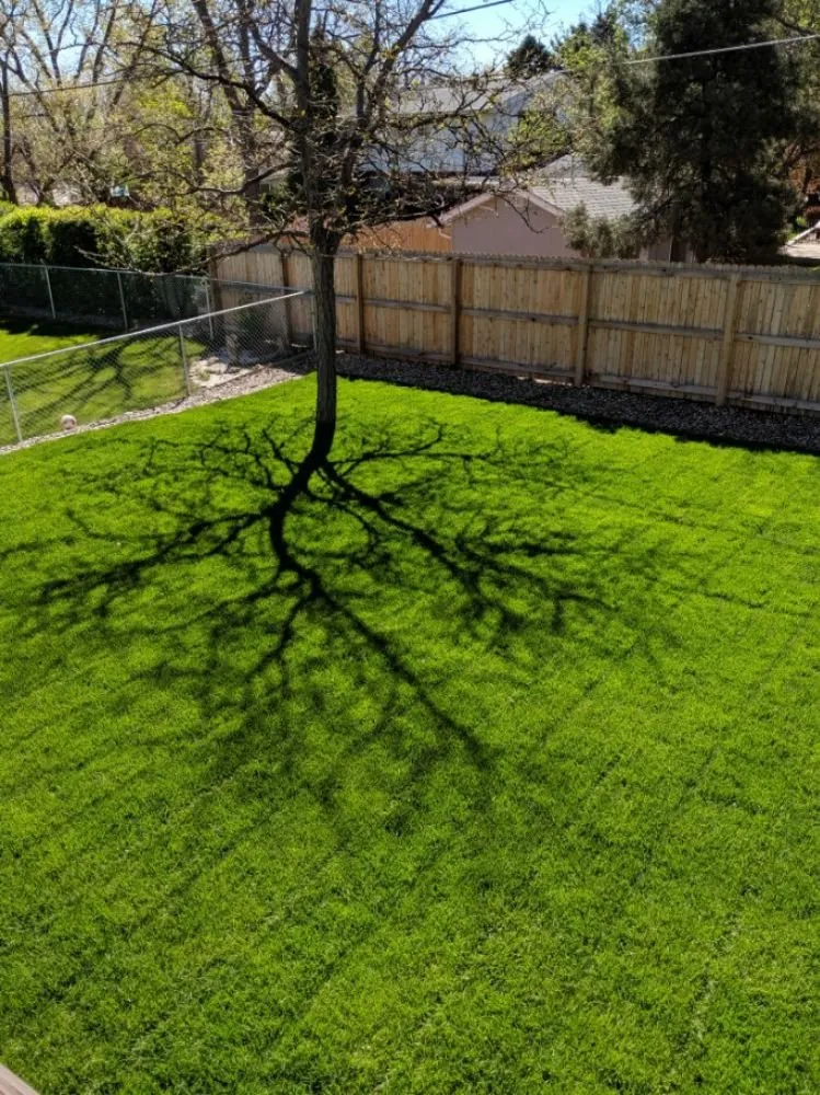 Expert residential landscaping for homes across Centennial, CO - Tim's Sprinkler