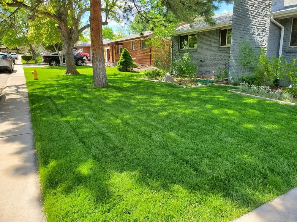 Trusted yard cleanup service for beautiful yards in Centennial, CO by Tim's Sprinkler
