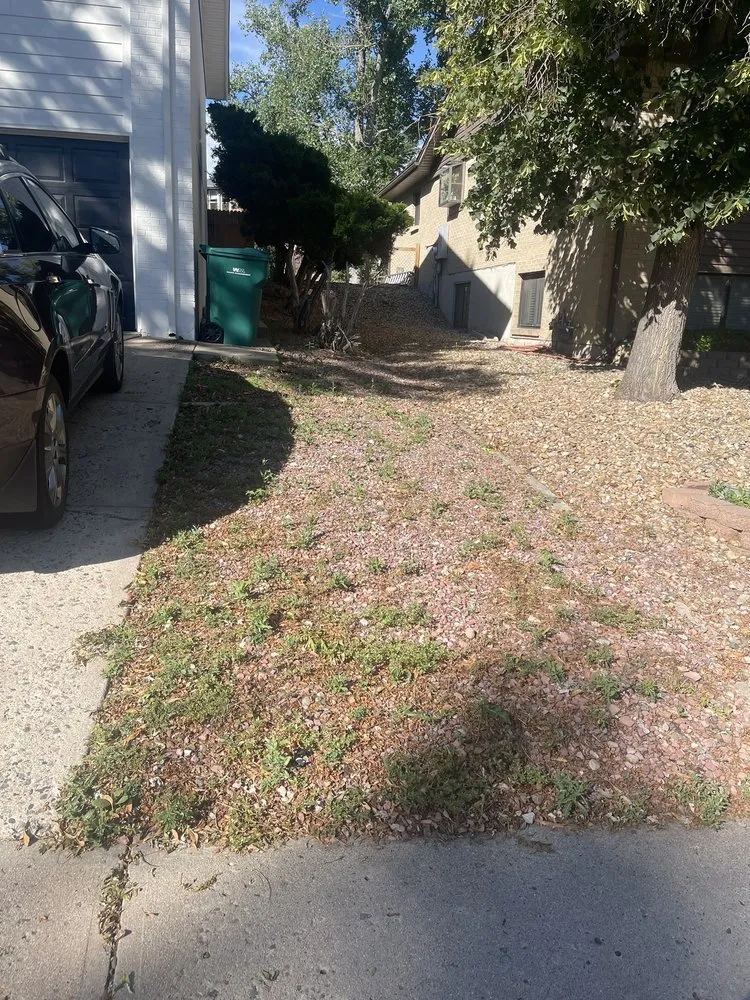 Professional yard cleanup service for homes in Centennial, CO by Tim's Sprinkler