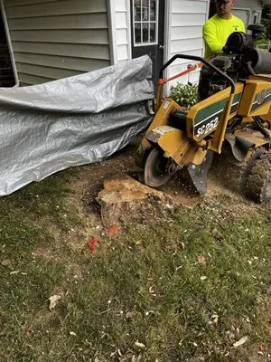 Tim's Stump Grinding