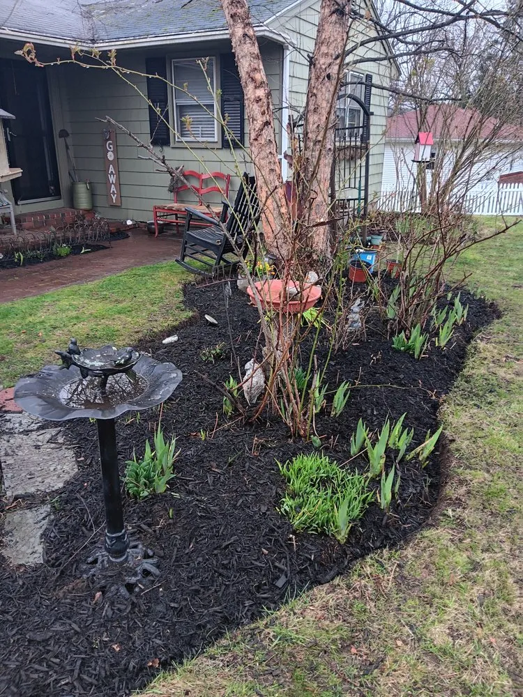 Expert landscape design for outdoor upgrades in Haverhill, MA by Tim's Tree & Landscaping