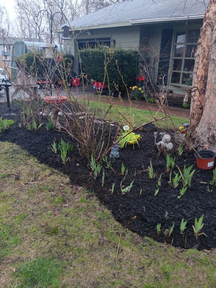 Affordable landscape installation in Haverhill, MA - Tim's Tree & Landscaping