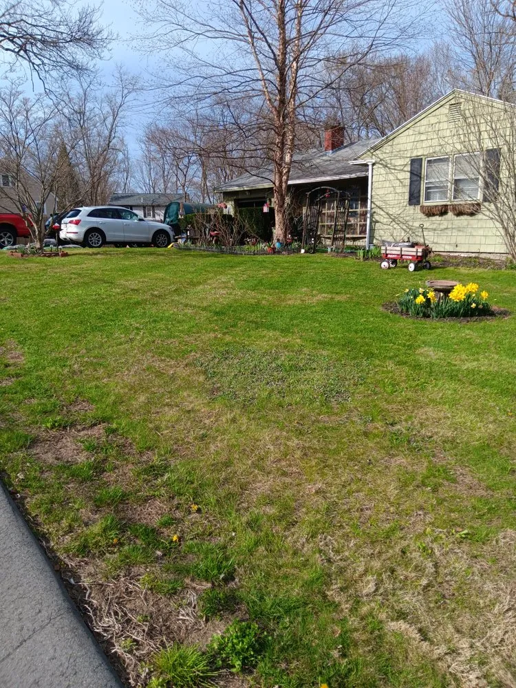 Top-rated lawn care service for outdoor upgrades in Haverhill, MA by Tim's Tree & Landscaping