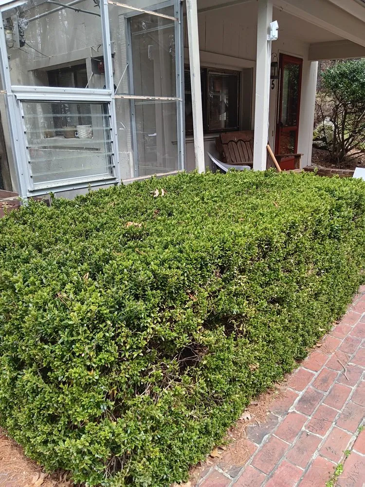 Custom yard maintenance in Haverhill, MA by Tim's Tree & Landscaping