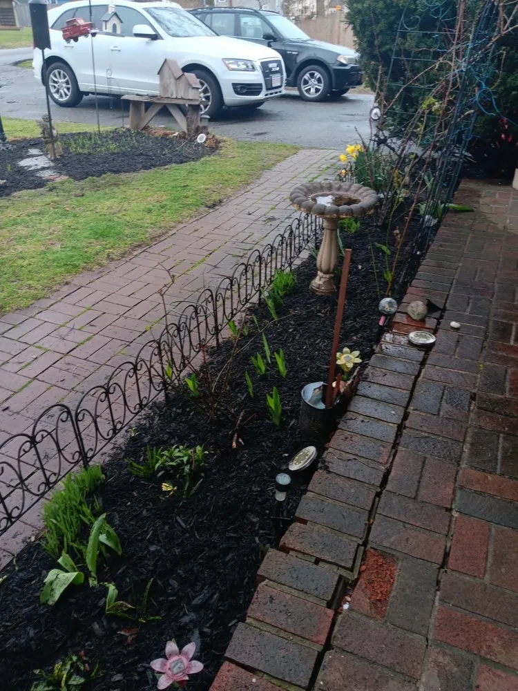 Local lawn care service experts serving Haverhill, MA - Tim's Tree & Landscaping