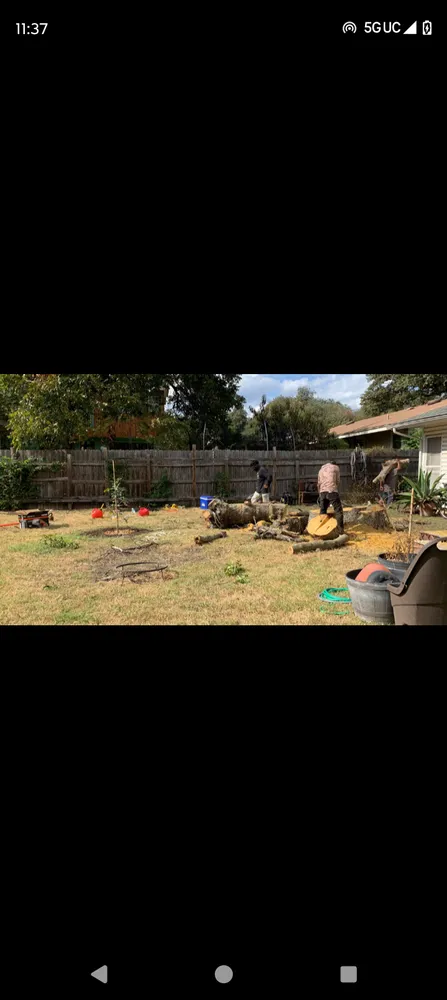 Trusted landscaping services for residential properties across Garfield, TX - Tim's tree and landscaping