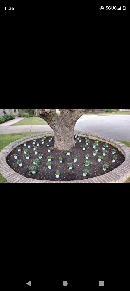 Top-rated lawn care service experts serving Garfield, TX - Tim's tree and landscaping