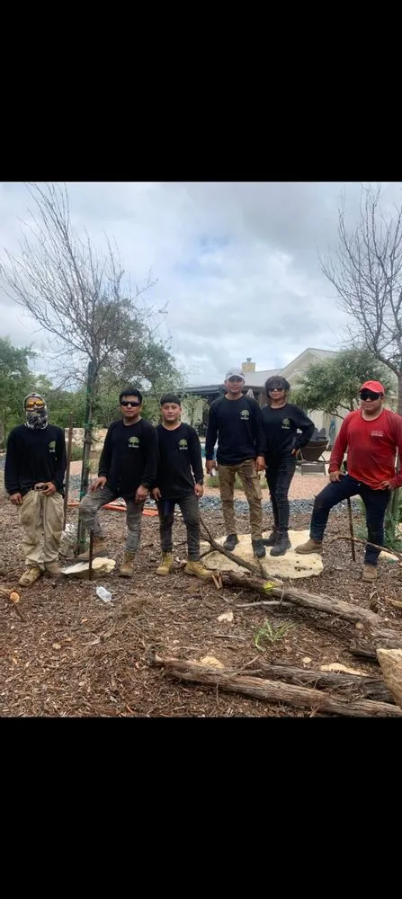 Affordable landscaping services in Garfield, TX by Tim's tree and landscaping