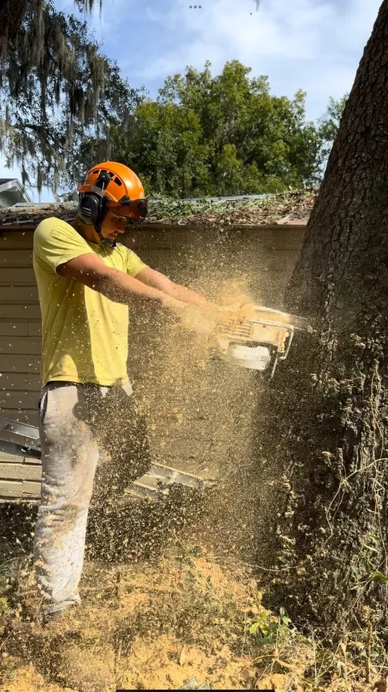 Affordable landscape design with custom design across Jacksonville, FL - Tim’s tree removal