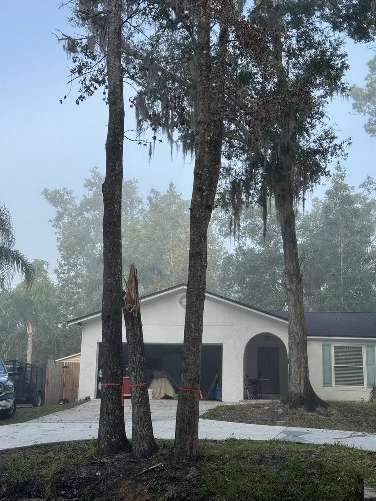 Trusted lawn mowing service in Jacksonville, FL - Tim’s tree removal