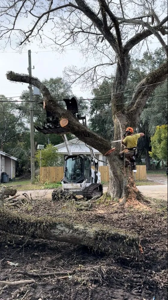 Expert yard cleanup service experts serving Jacksonville, FL - Tim’s tree removal