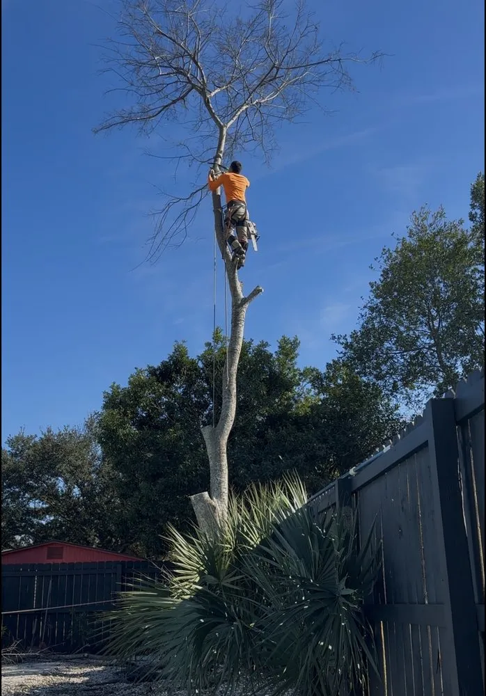 Expert lawn mowing service for beautiful yards across Jacksonville, FL - Tim’s tree removal